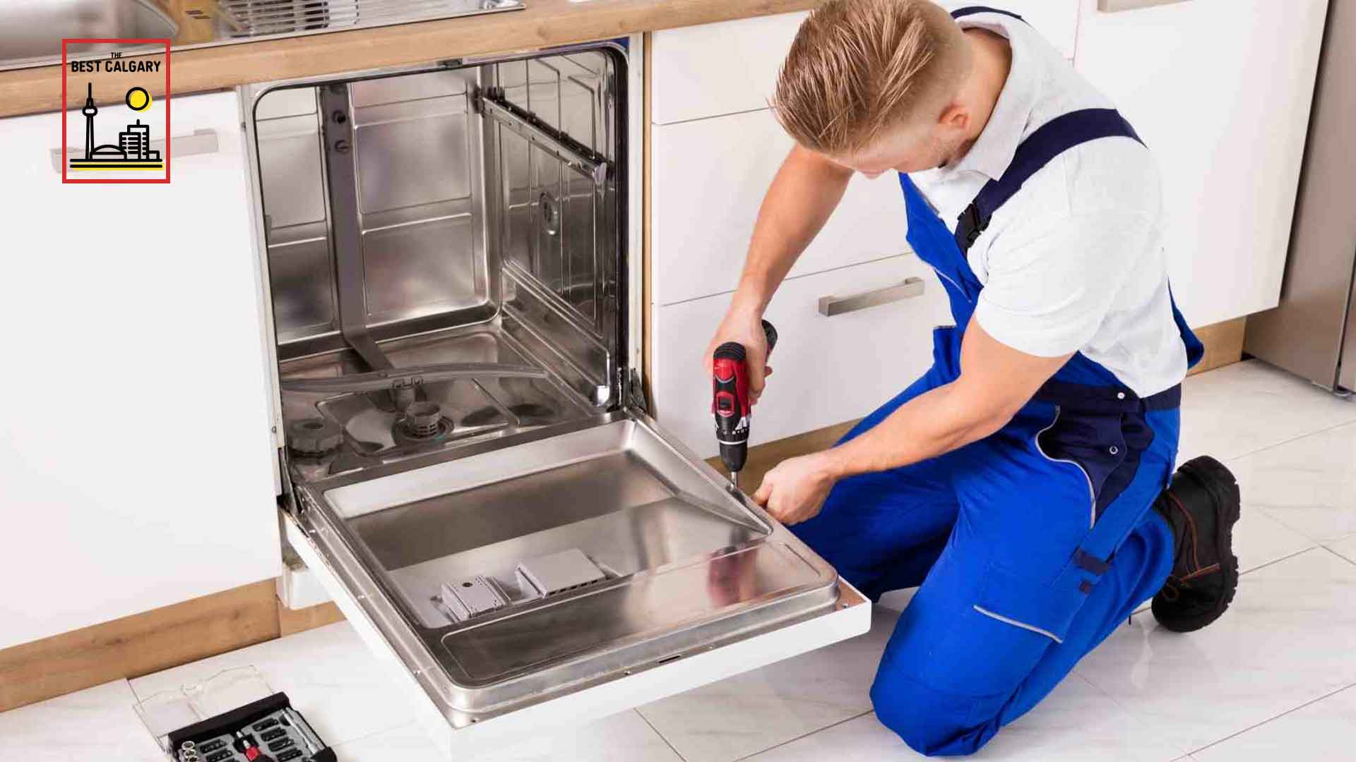 DIY Appliance Repair: When to Call a Professional