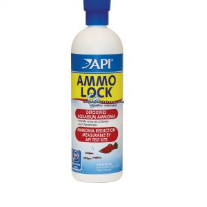 Api Ammo Lock ( Khử Độc )