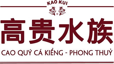 Cao Quý Cá Kiểng